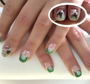 bild6